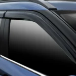 Side Visor